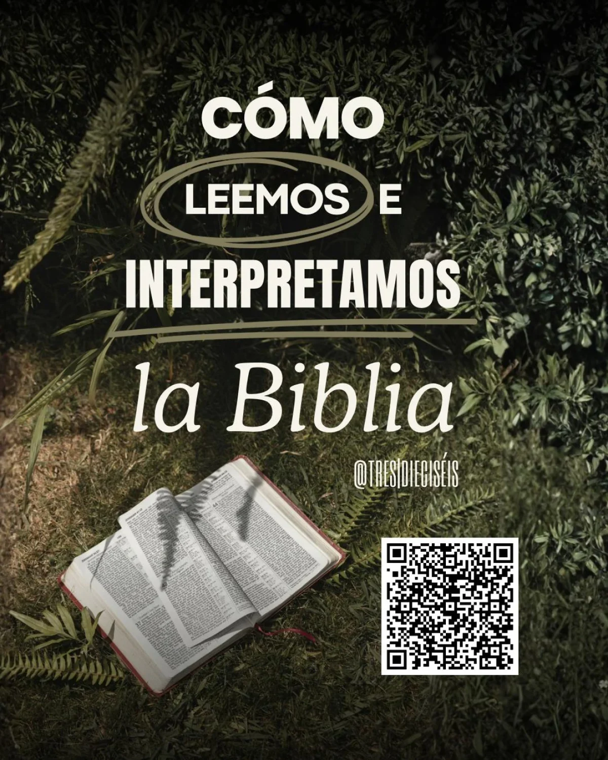 Cómo leemos e interpretamos la Biblia